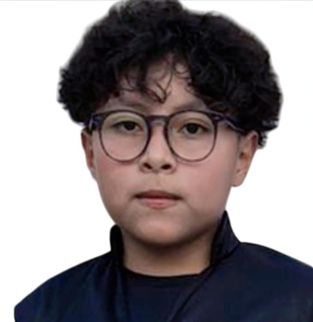 User Image
